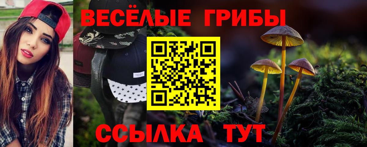Псилоцибиновые грибы прущие грибы  Галлюциногенные грибы Psilocybe  Кызыл  Вход с VPN 