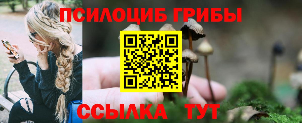 Псилоцибиновые грибы Magic Shrooms Кызыл